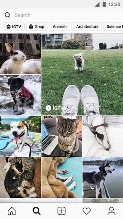 Hình ảnh Instagram MOD Đã Mở Khóa Chuyên Nghiệp