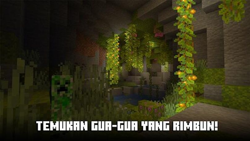 Hình ảnh Minecraft MOD Mở khoá